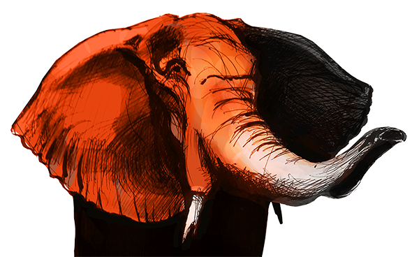 Elephant - By Germain Loyer